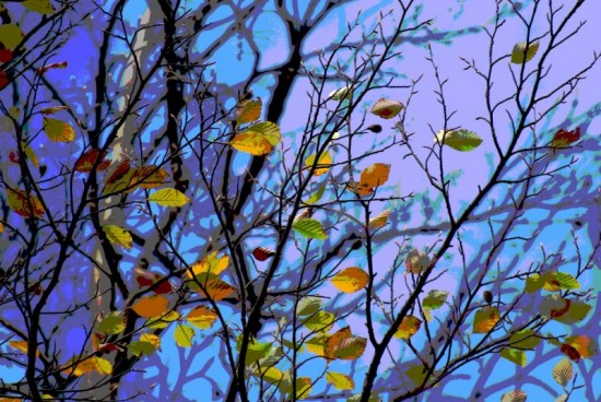 Herbstlich 1